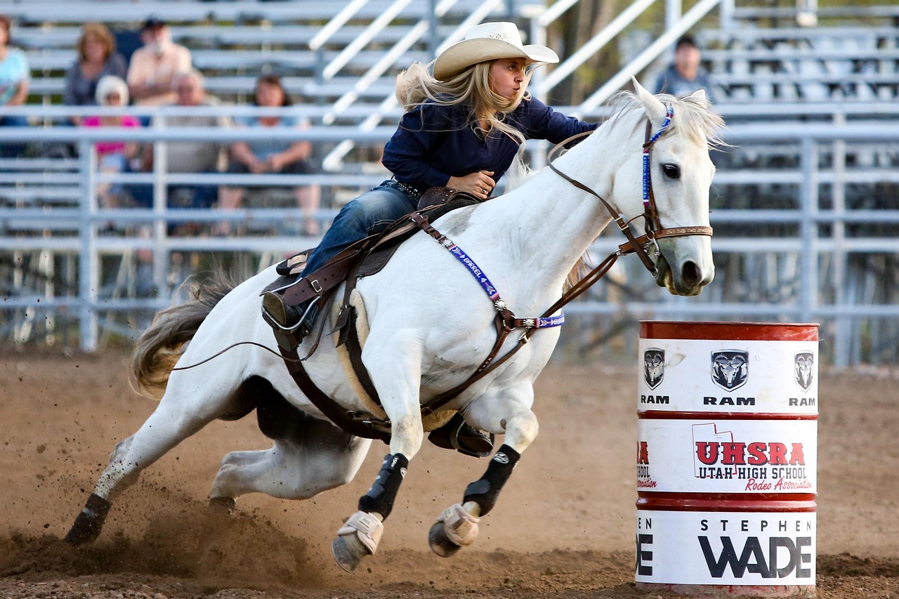 Professional rodeo arena mechanical bull setup with expert equipment